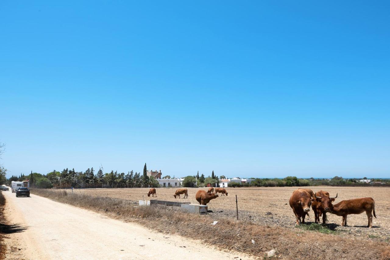 Casa Mora - Vejer, El Palmar Villa Vejer de la Frontera Buitenkant foto